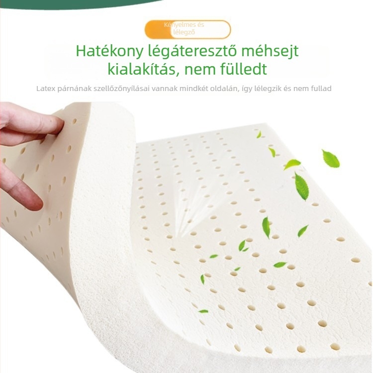 Latex ülőpárna irodai üléshez – egyszerű, modern stílus, egyszínű minta; Hao Xiang márka; alkalmas egyszemélyes kanapéhoz