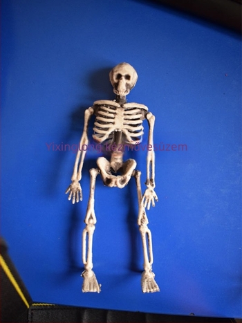 Halloween csontváz rekvizit — műanyag, kézzel készített, testreszabható, szcenikai dekoráció