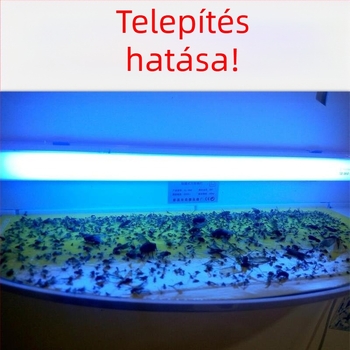 Falra szerelhető ragadós szúnyogirtó lámpa éttermek és szállodák számára, UV-fény csapda, 61 m²+ lefedettség, ABS ház, 1 év garancia
