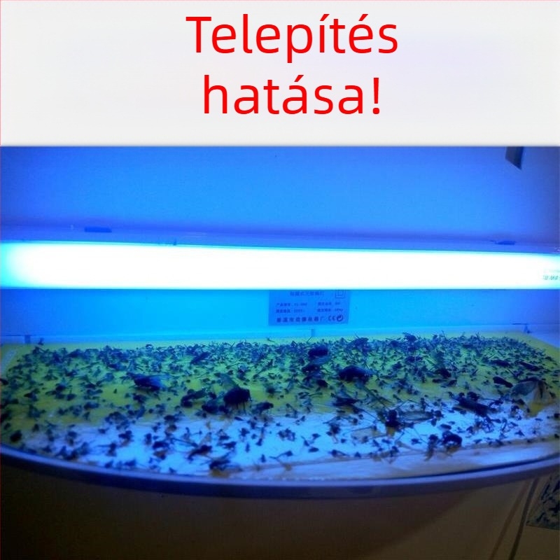 Falra szerelhető ragadós szúnyogirtó lámpa éttermek és szállodák számára, UV-fény csapda, 61 m²+ lefedettség, ABS ház, 1 év garancia