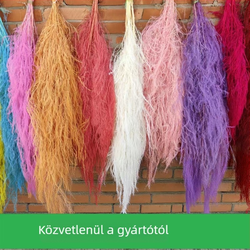 Modern letisztult minimalist lógó virágos műalkotás megőrzött és szárított virágokkal, sárkány bajusza és hosszú szőrű fűvel, esküvői dekoráció, egyedi feldolgozás • Márka: Yunnan runhong • Termékkód: 2024 • Eredet: Kina • Importált: Nem