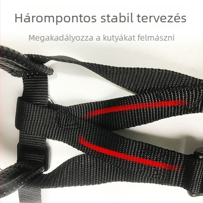Dog Training Muzzle, anyag: selyem virágok, importálás nélkül, IP jogok nélkül
