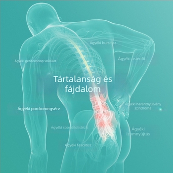 Terhességhez tervezett deréktámasz párna, szivacs töltet, egyszínű minta, modern egyszerű stílus, minden évszakban használható