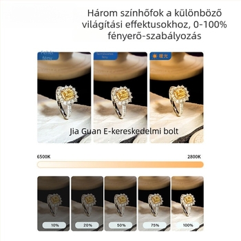 LED töltőfény ékszerfotózáshoz - asztali használat, három színhőmérséklet, 10W alatt