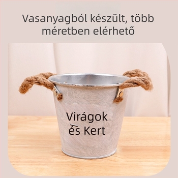 Dekoratív asztali váza vasművészeti kivitelben, egyszerű stílus, szukkulensekhez