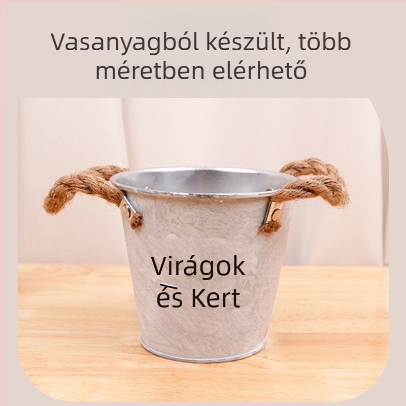 Dekoratív asztali váza vasművészeti kivitelben, egyszerű stílus, szukkulensekhez