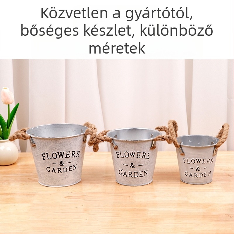 Dekoratív asztali váza vasművészeti kivitelben, egyszerű stílus, szukkulensekhez