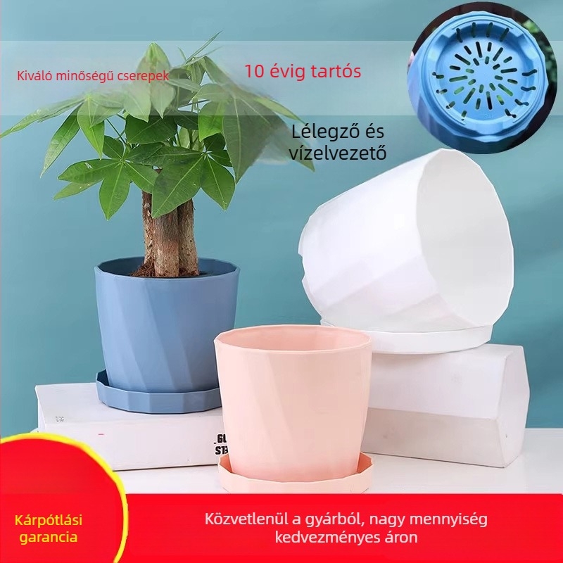 Otthoni használatra szánt műanyag virágtartó, nagy galonos méret, alkalmas pothos, lógó növények, orchideák és pozsgások.