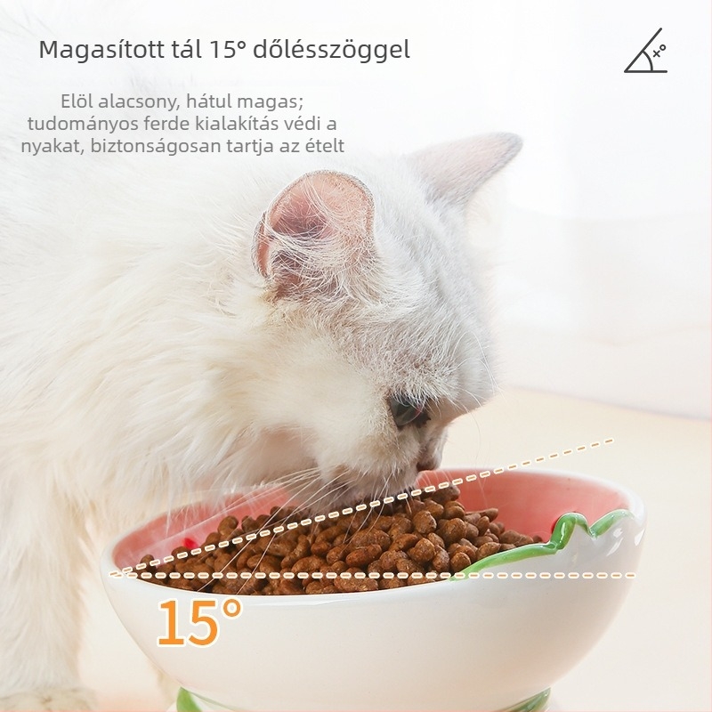 Kerámia macska tál nyakvédő, ferde száj és magas talp