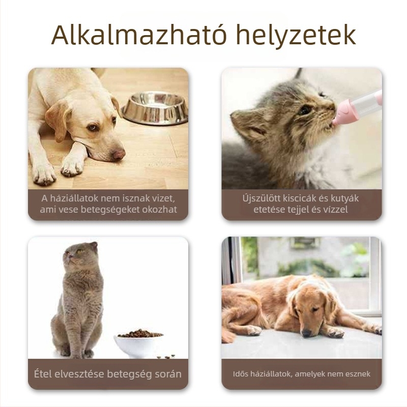 Újszülött cicák etetőeszköze cumisüveggel és szívófejjel, műanyag, macskáknak, időszakos etetés