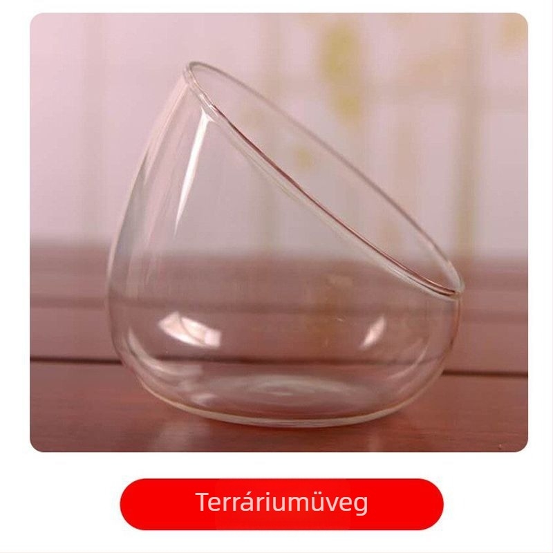 DIY készlet mohás mikrotájhoz boroszilikát üveg gömbben, Xuanyi márka, karton csomagolás, asztali elrendezés