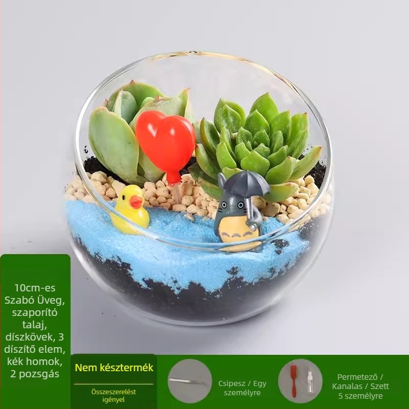 DIY készlet mohás mikrotájhoz boroszilikát üveg gömbben, Xuanyi márka, karton csomagolás, asztali elrendezés