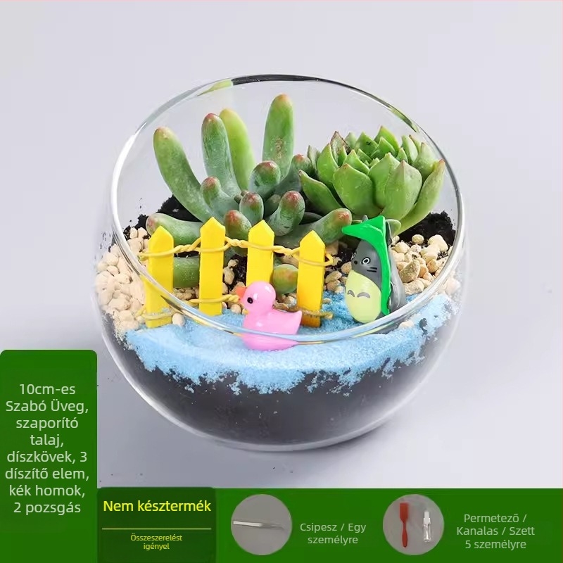 DIY készlet mohás mikrotájhoz boroszilikát üveg gömbben, Xuanyi márka, karton csomagolás, asztali elrendezés