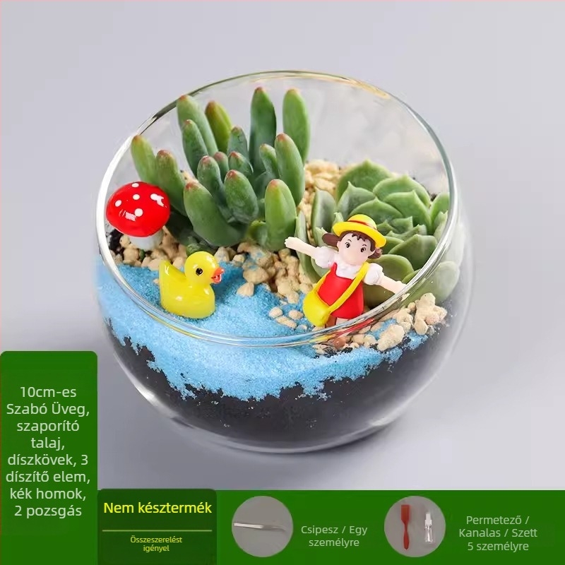 DIY készlet mohás mikrotájhoz boroszilikát üveg gömbben, Xuanyi márka, karton csomagolás, asztali elrendezés