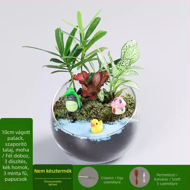 DIY készlet mohás mikrotájhoz boroszilikát üveg gömbben, Xuanyi márka, karton csomagolás, asztali elrendezés