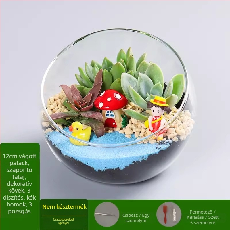 DIY készlet mohás mikrotájhoz boroszilikát üveg gömbben, Xuanyi márka, karton csomagolás, asztali elrendezés