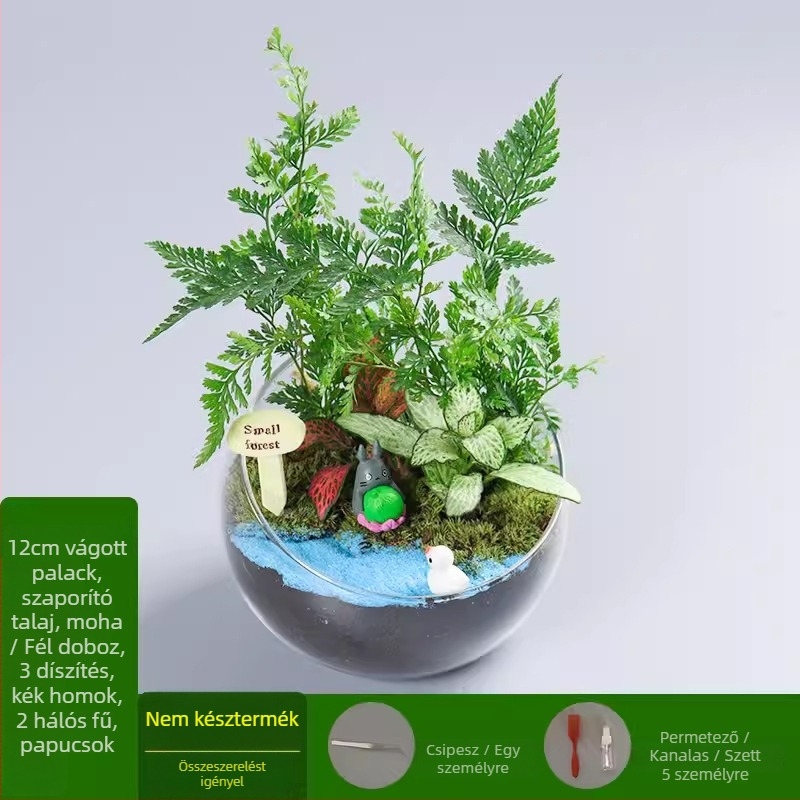 DIY készlet mohás mikrotájhoz boroszilikát üveg gömbben, Xuanyi márka, karton csomagolás, asztali elrendezés