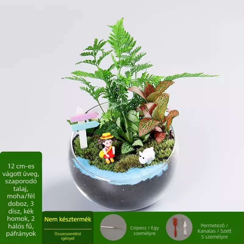 DIY készlet mohás mikrotájhoz boroszilikát üveg gömbben, Xuanyi márka, karton csomagolás, asztali elrendezés