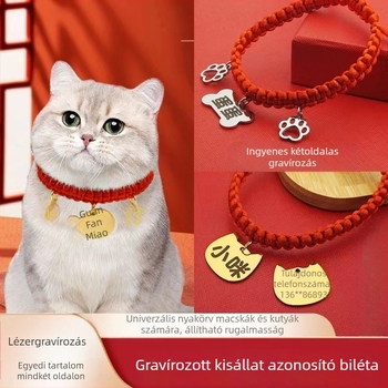 Gravírozott háziállat-azonosító nyaklánc macskáknak és kutyáknak, rozsdamentes acélból, piros zsinórral, elvesztés elleni, rajzfilmszerű stílus