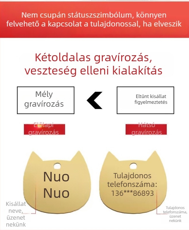 Gravírozott háziállat-azonosító nyaklánc macskáknak és kutyáknak, rozsdamentes acélból, piros zsinórral, elvesztés elleni, rajzfilmszerű stílus