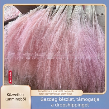 Szárított virágokból álló csokor, Pink dai variáció, Chen chen qianli flowers (Márka: Chen chen qianli flowers; Anyag: Szárított virágok; Változat: Pink dai; Ajándék: Nem)