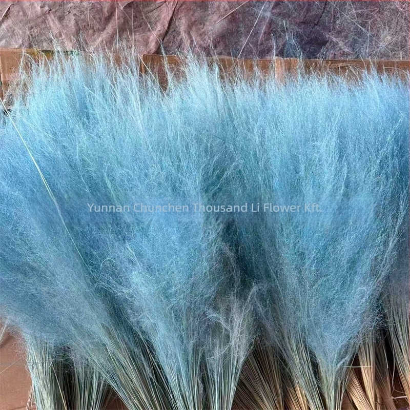 Szárított virágokból álló csokor, Pink dai variáció, Chen chen qianli flowers (Márka: Chen chen qianli flowers; Anyag: Szárított virágok; Változat: Pink dai; Ajándék: Nem)