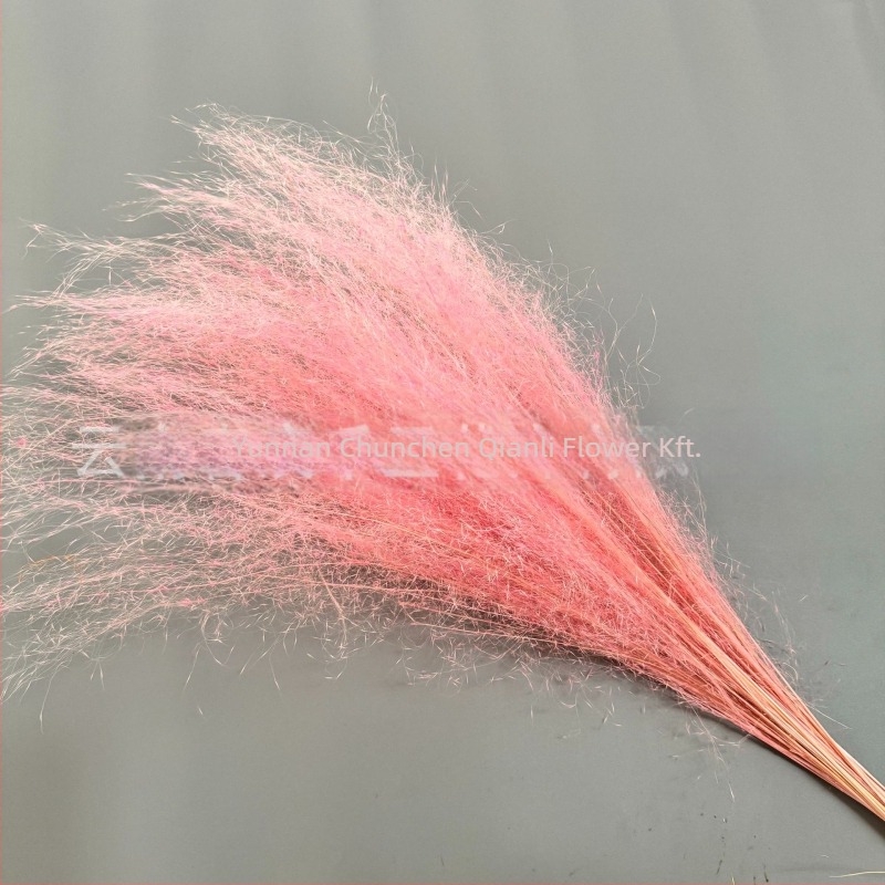 Szárított virágokból álló csokor, Pink dai variáció, Chen chen qianli flowers (Márka: Chen chen qianli flowers; Anyag: Szárított virágok; Változat: Pink dai; Ajándék: Nem)