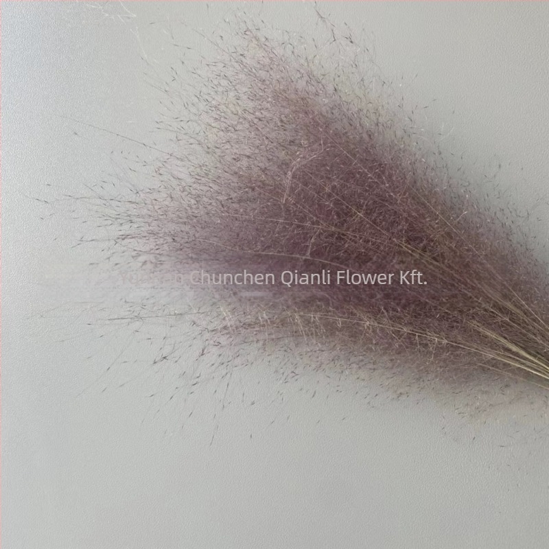 Szárított virágokból álló csokor, Pink dai variáció, Chen chen qianli flowers (Márka: Chen chen qianli flowers; Anyag: Szárított virágok; Változat: Pink dai; Ajándék: Nem)