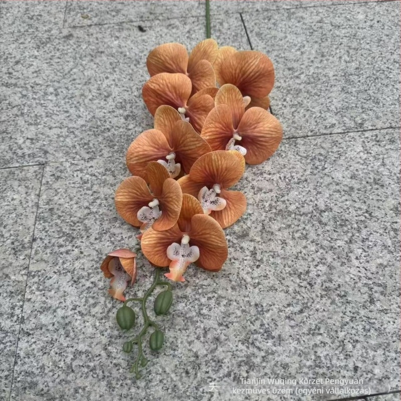 9-ágú Phalaenopsis orchidea, 3D nyomtatott felülettel, műanyag és selyem virágok, esküvői dekorációhoz, rekvizítként fotózásra és otthoni dekorációhoz