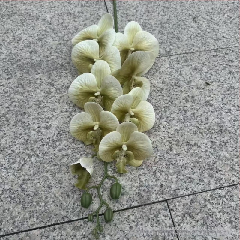 9-ágú Phalaenopsis orchidea, 3D nyomtatott felülettel, műanyag és selyem virágok, esküvői dekorációhoz, rekvizítként fotózásra és otthoni dekorációhoz