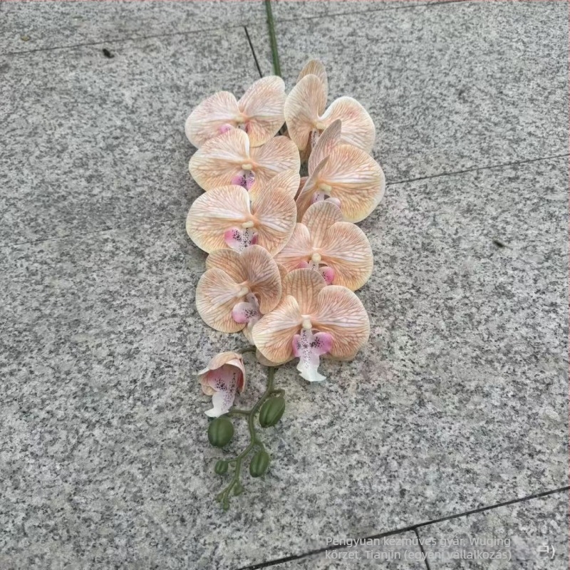 9-ágú Phalaenopsis orchidea, 3D nyomtatott felülettel, műanyag és selyem virágok, esküvői dekorációhoz, rekvizítként fotózásra és otthoni dekorációhoz