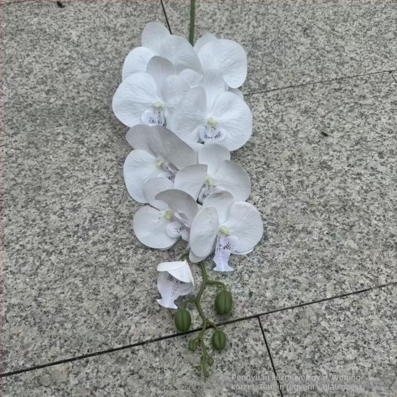 9-ágú Phalaenopsis orchidea, 3D nyomtatott felülettel, műanyag és selyem virágok, esküvői dekorációhoz, rekvizítként fotózásra és otthoni dekorációhoz