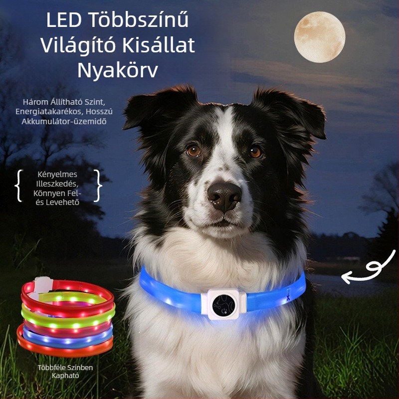 LED világító kutyanyakörv Type-C újratöltéssel, szilikonból, éjszakai használatra