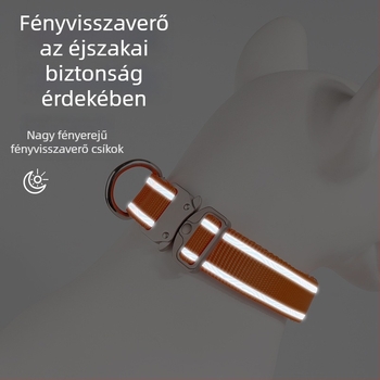 Állítható kisállatnyakörv csatossal a kitörés elleni védelemhez, kutyák és macskák számára; nylon, kültéri sétákhoz