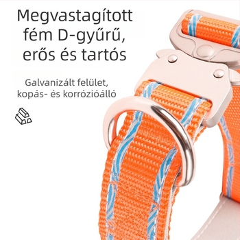 Állítható kisállatnyakörv csatossal a kitörés elleni védelemhez, kutyák és macskák számára; nylon, kültéri sétákhoz