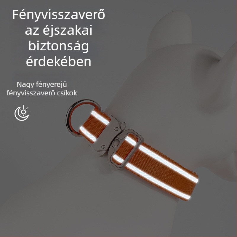Állítható kisállatnyakörv csatossal a kitörés elleni védelemhez, kutyák és macskák számára; nylon, kültéri sétákhoz