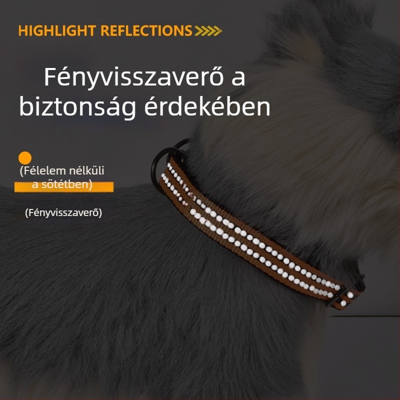 Állítható kutyanyakörv és póráz – kis, közepes és nagy testű kutyáknak, poliészter, mintázat színblokkokkal