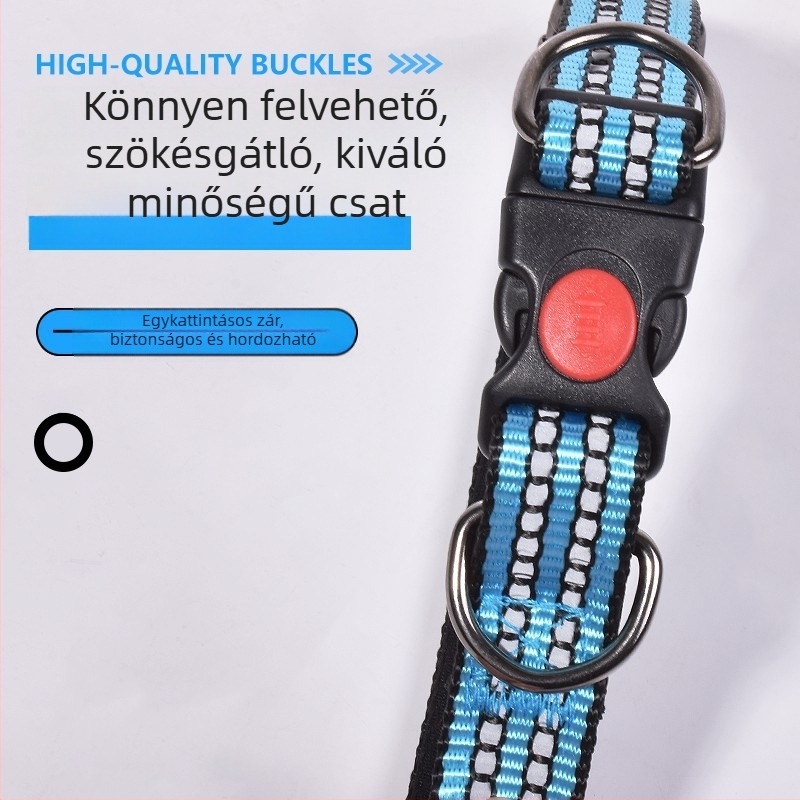 Állítható kutyanyakörv és póráz – kis, közepes és nagy testű kutyáknak, poliészter, mintázat színblokkokkal