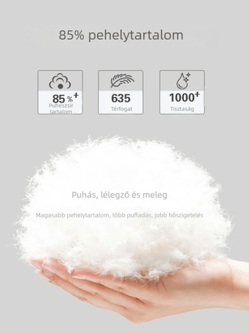 Fiúknak való téli kabát cartoon mintával, kapucnival, levehető tollbélésű bélés, két részes szett, 1–3 éveseknek