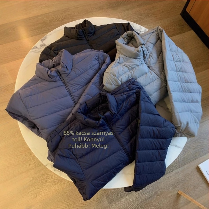 Férfi pehelykabát, könnyű, álló gallérral, szabadidős kültéri viselet (down filling, 50% content, fluffiness 550, cold protection -5°C to 0°C, thin)