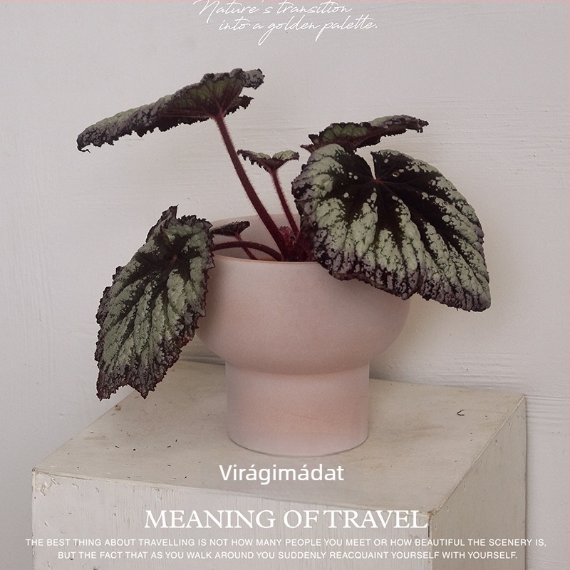 Virágcserép kerámiából, asztali használatra, otthoni kertészkedéshez