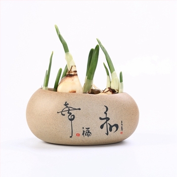 Retro kerámia virágtartó succulensekhez és money planthez, asztali hidroponikus dekoráció