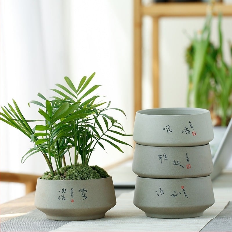 Retro kerámia virágtartó succulensekhez és money planthez, asztali hidroponikus dekoráció