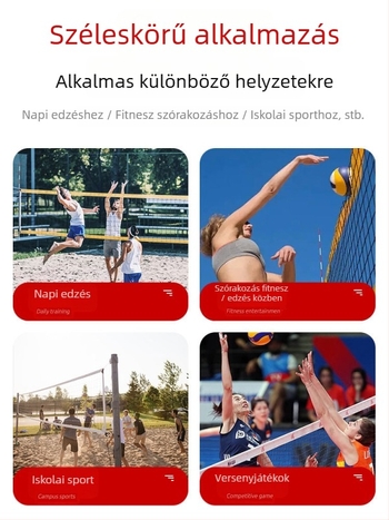 Röplabdaháló standard versenyre, vastag súlyozott váz, Chenhong, anyag poliészter/PE