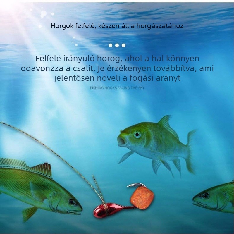 Hetescsillagos lebegő damil készlet hagyományos horogokkal crucian carp horgászathoz