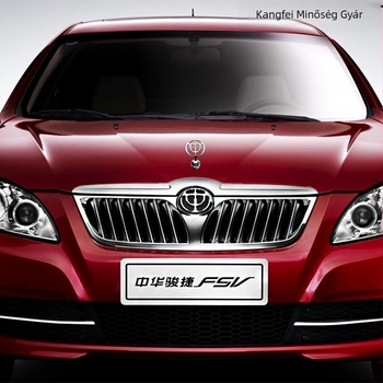 Autóembléma - 3D matricás anyag - Mágnéses rögzítés - Személyre szabott autólogó