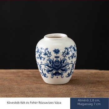 Paint Tang porcelán váza, modern egyszerű stílus (Porcelán, Paint Tang, Váza, Modern egyszerű stílus, Ajándékra kész)