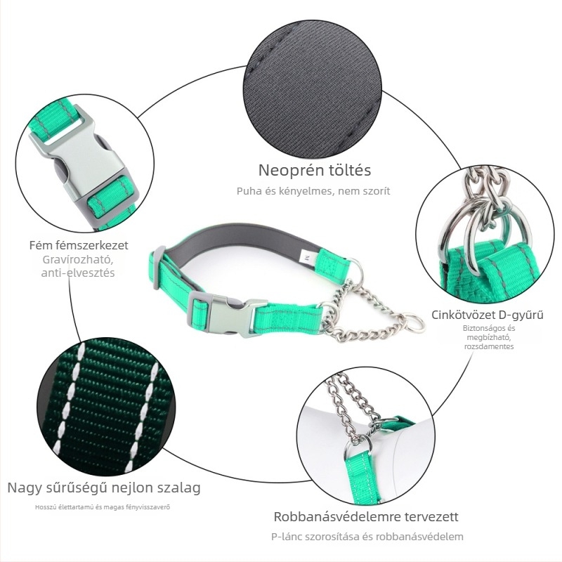 Half-P lánc nyakörv és póráz Border Collie-k számára, nylon, szabadidő-stílus, ütésálló és anti-burst dizájn
