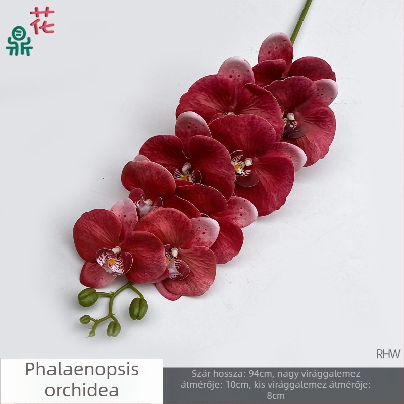 Phalaenopsis selyemorchidea, 9 fej, 3D, esküvői stúdió kellék