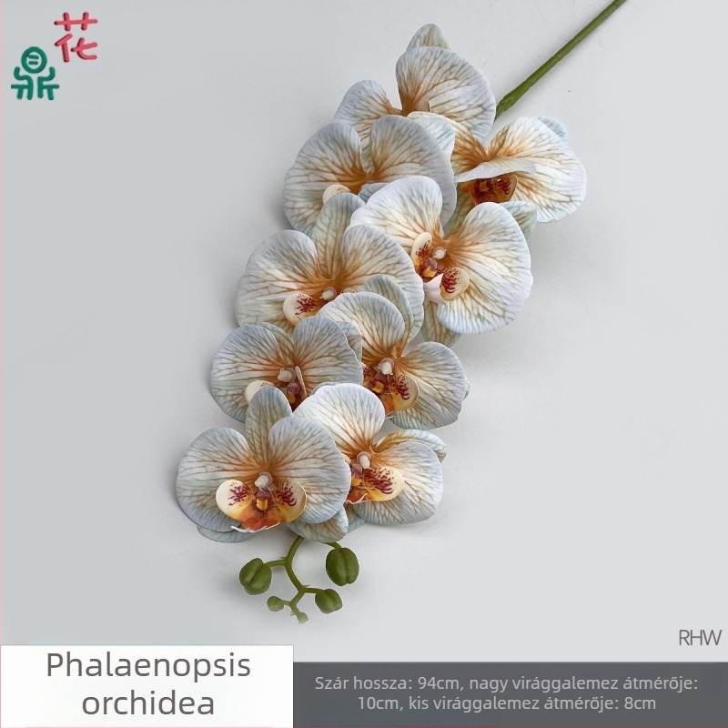Phalaenopsis selyemorchidea, 9 fej, 3D, esküvői stúdió kellék